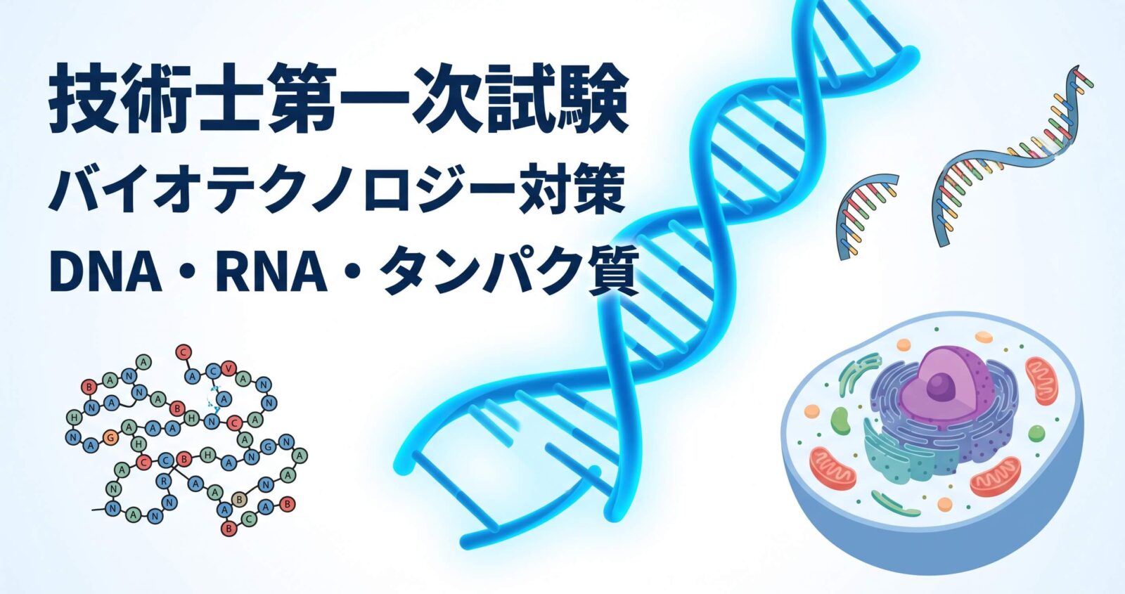 技術士第一次試験のバイオテクノロジー対策としてDNA、RNA、タンパク質、細胞構造を示したアイキャッチ画像
